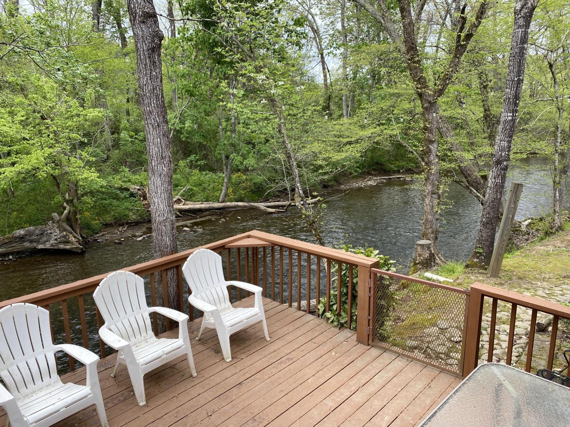 Gray'S Place On Cosby Creek - 2 Bedrooms, 2 Baths, Sleeps 6 Home Buitenkant foto
