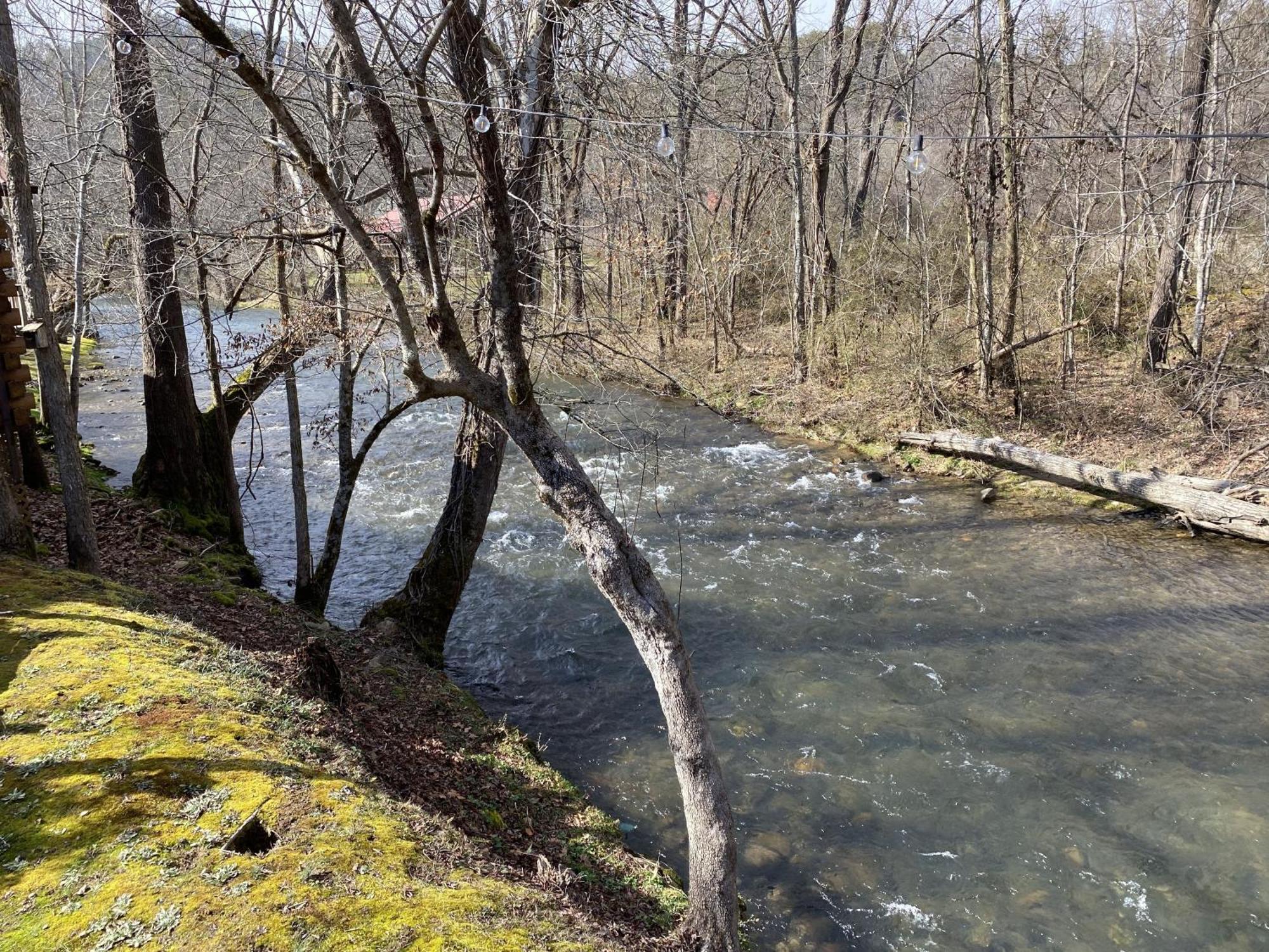 Gray'S Place On Cosby Creek - 2 Bedrooms, 2 Baths, Sleeps 6 Home Buitenkant foto