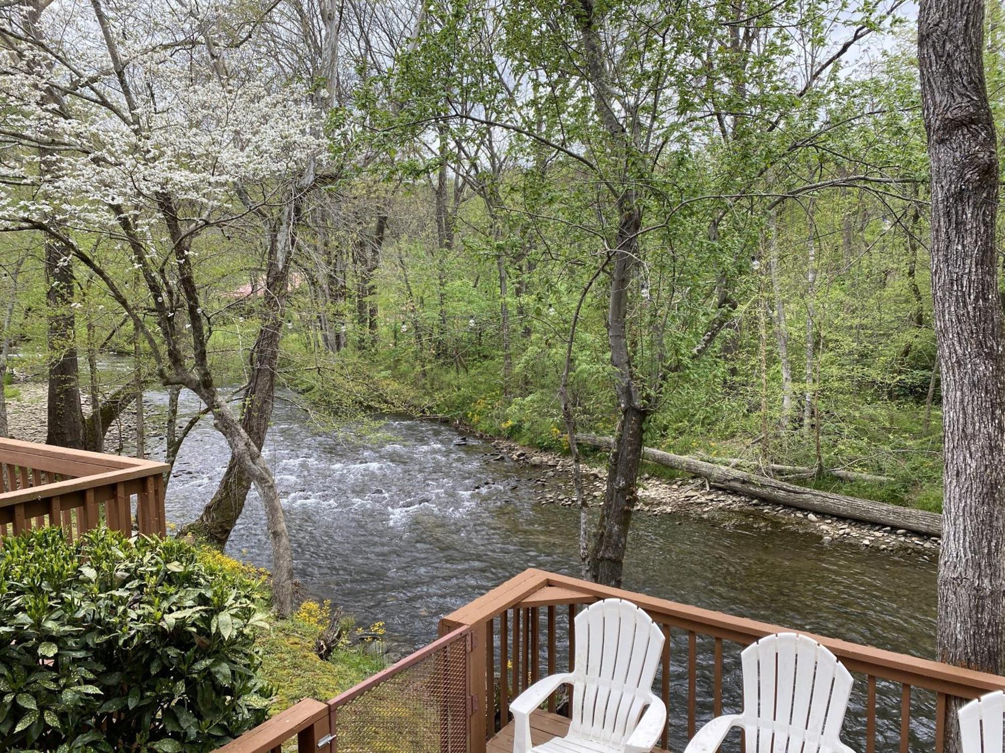 Gray'S Place On Cosby Creek - 2 Bedrooms, 2 Baths, Sleeps 6 Home Buitenkant foto